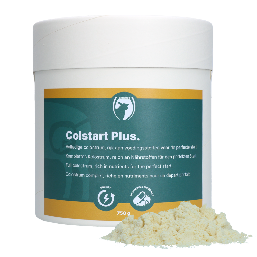 Colstart Plus (lam/geit)