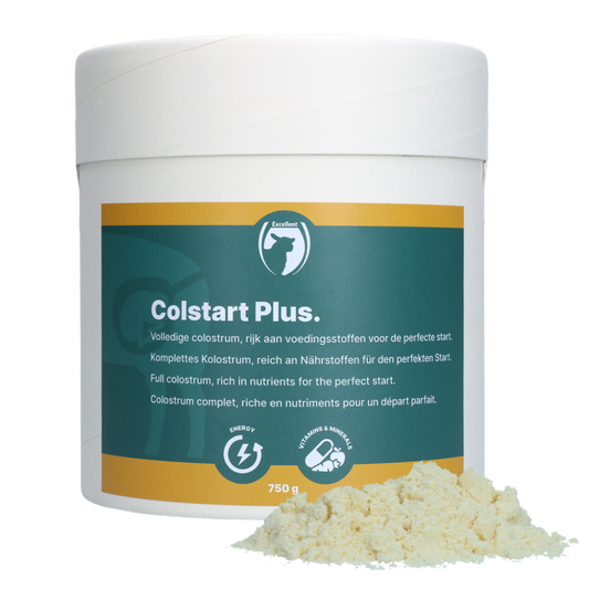 Colstart Plus (lam/geit)