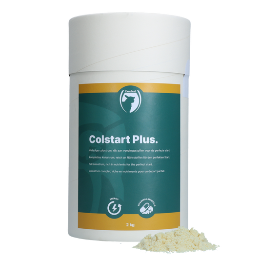 Colstart Plus (lam/geit)