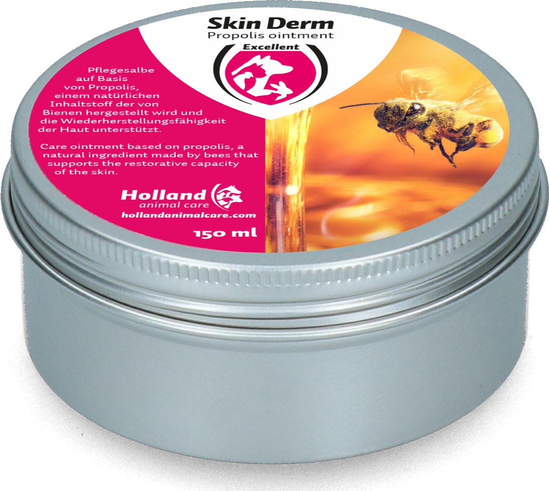 Skin Derm Propolis &amp; Honing Zalf