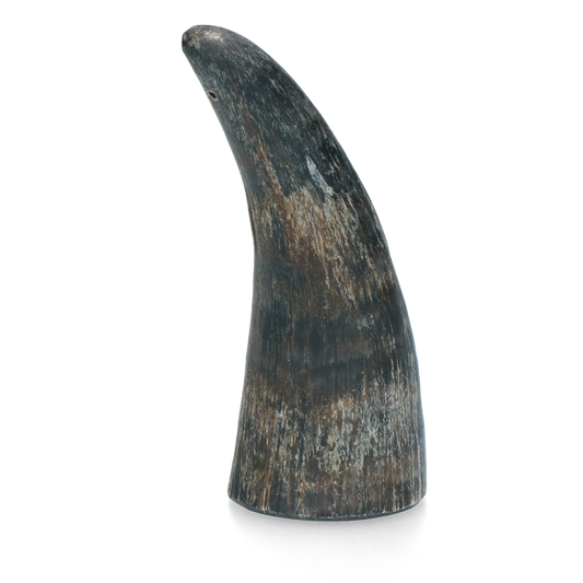 Viking whole Horn S