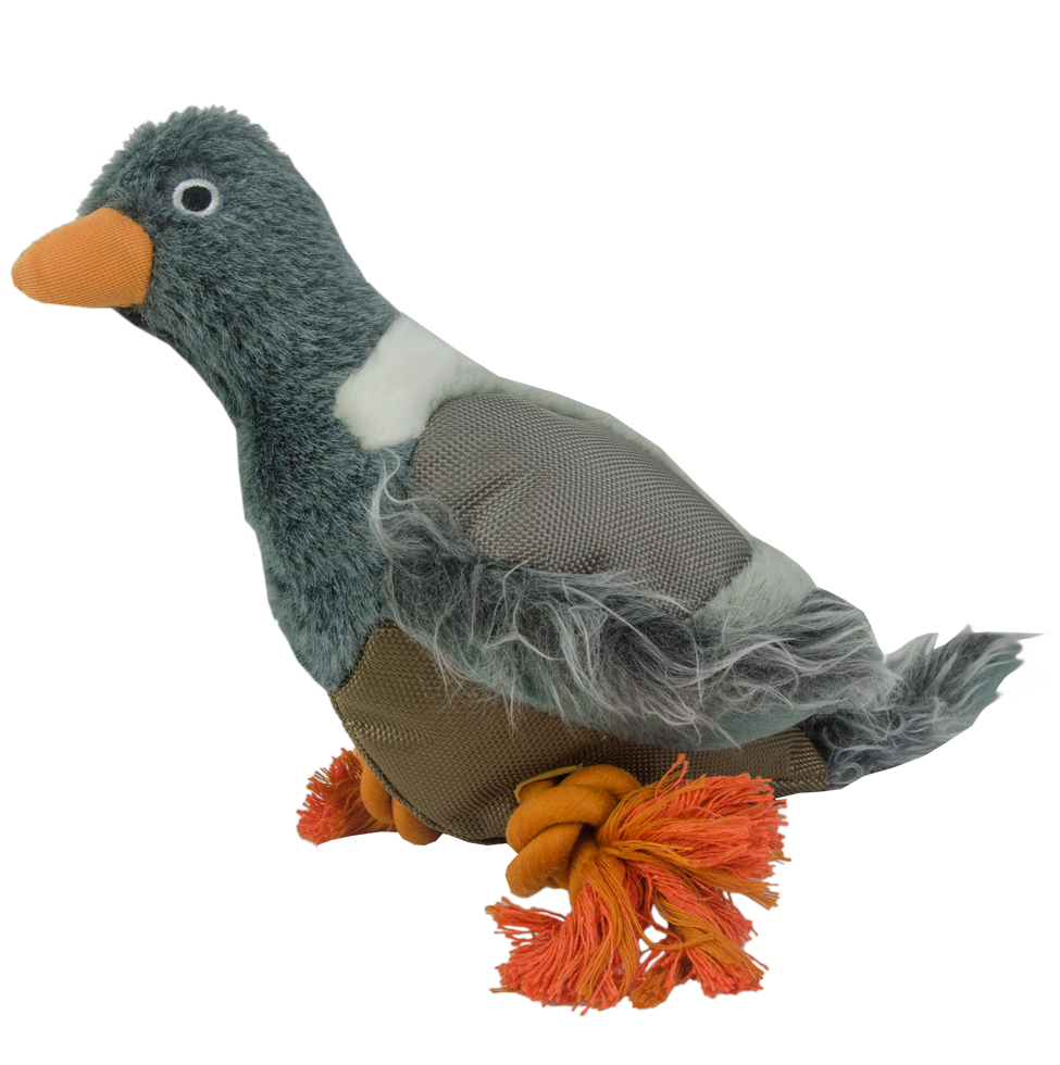 Wild Life Dog Pigeon (Duif)