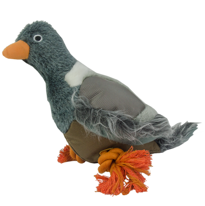 Wild Life Dog Pigeon (Duif)