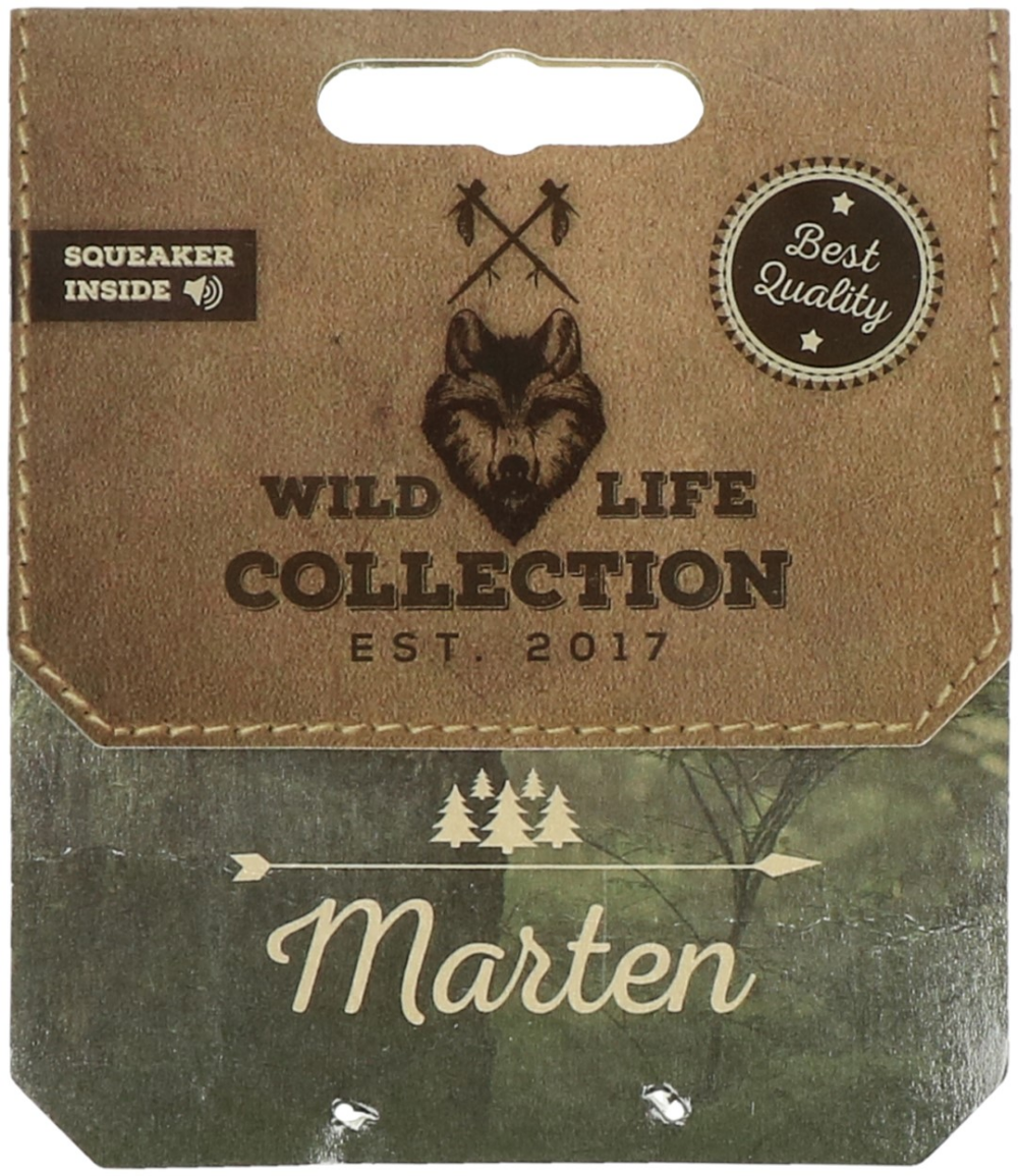 Wild Life Dog Marten