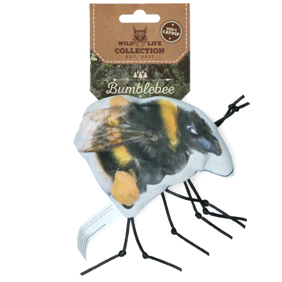 Wild Life Cat Hommel