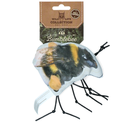 Wild Life Cat Hommel