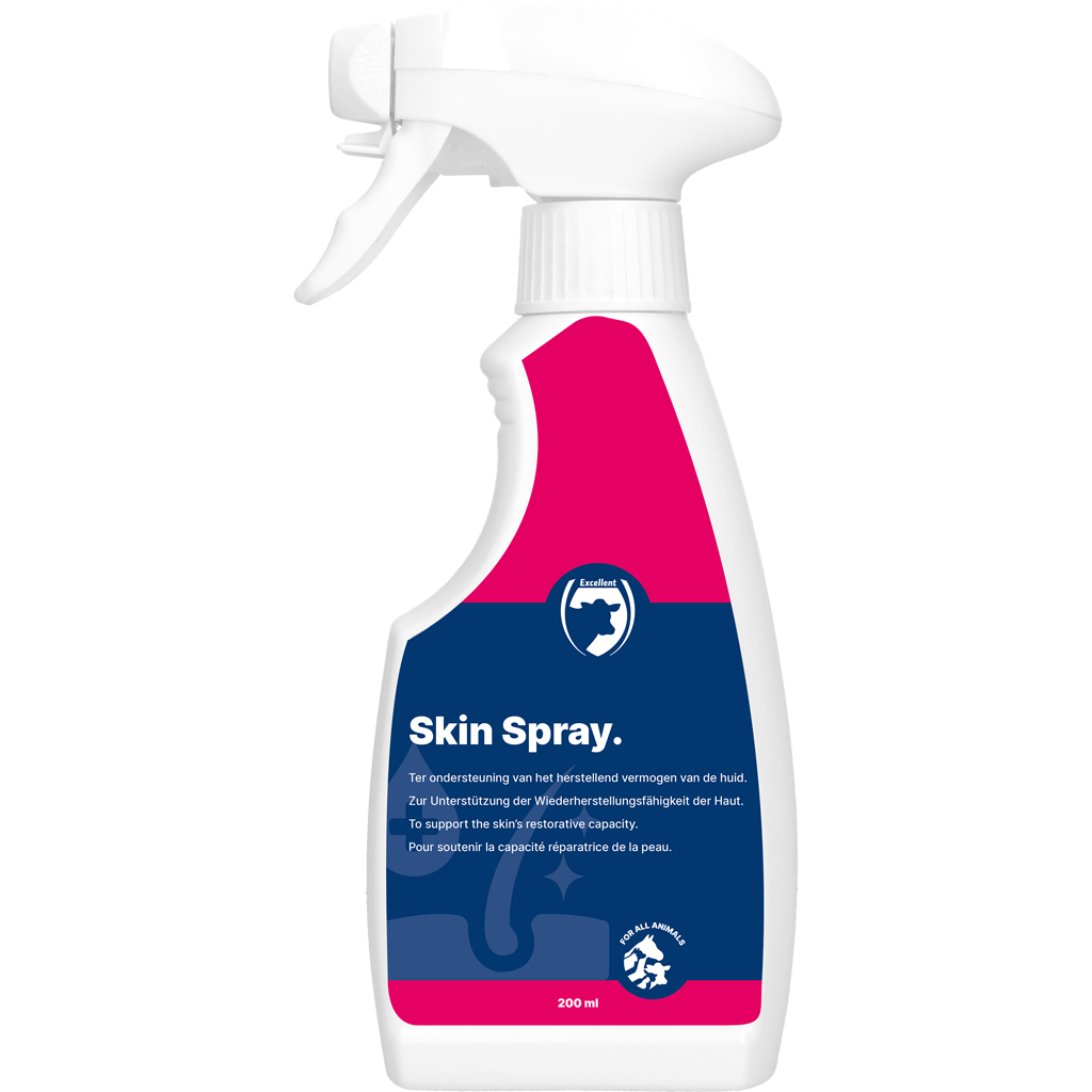 Skin Spray Blank