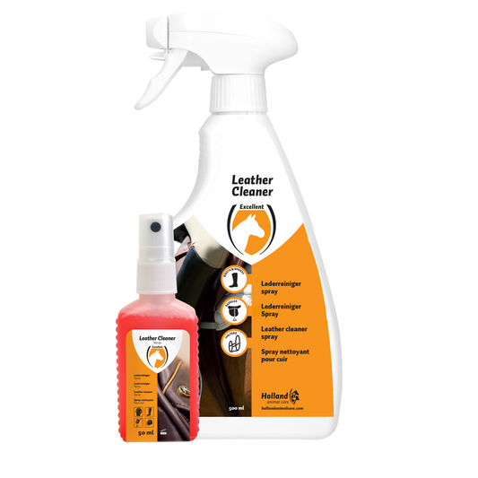 Leather Cleaner Spray