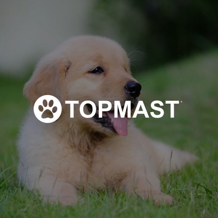 TOPMAST NYLON PUPPYREN - ROND - OPVOUWBAAR - ZWART