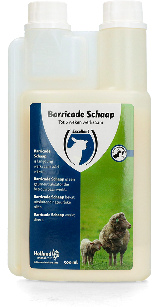 Barricade schaap