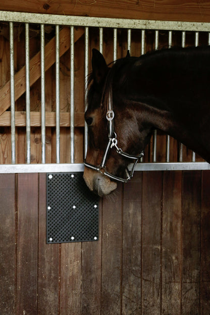 Borstelmat voor Paard, Kalf, Geit Zwart (L40xB30cm)