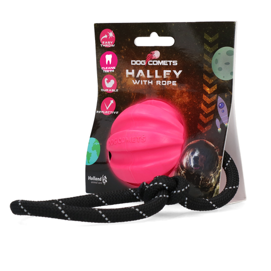 Dog Comets Ball Meteorite Roze met touw