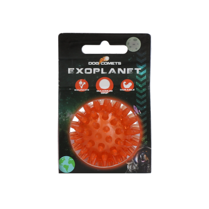 Dog Comets Exoplanet Orange S