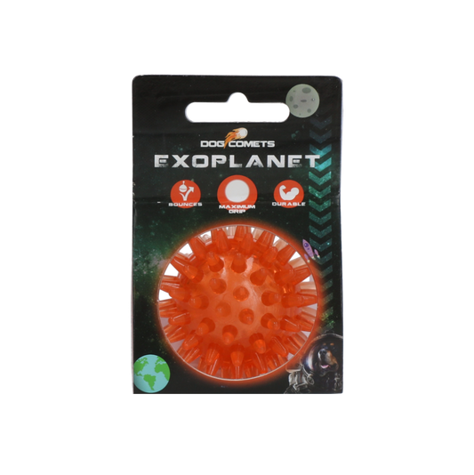 Dog Comets Exoplanet Orange S