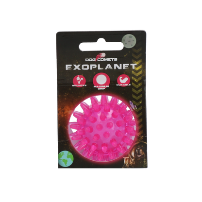 Dog Comets Exoplanet Pink S