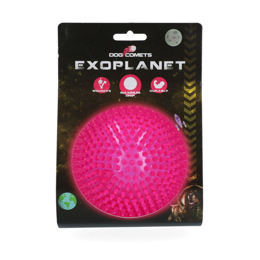 Dog Comets Exoplanet Pink L