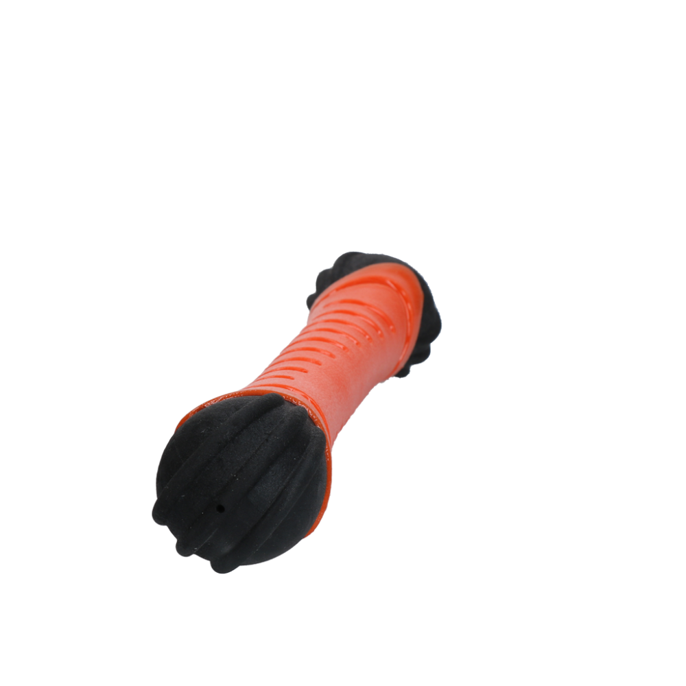 Dog Comets Asteroid Orange L