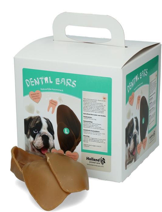 Dental Ears Large 24st