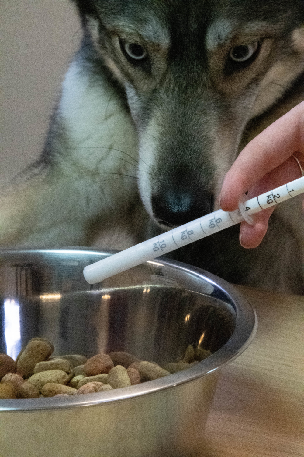 Dolthene breedwerkende ontworming hond