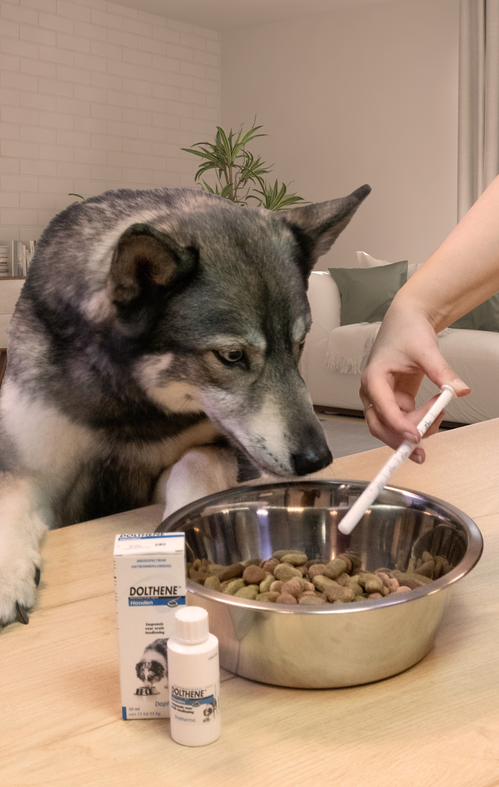 Dolthene breedwerkende ontworming hond