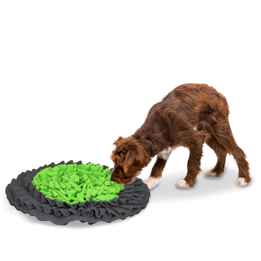 Eat Slow Live Longer Snuffle Mat Groen