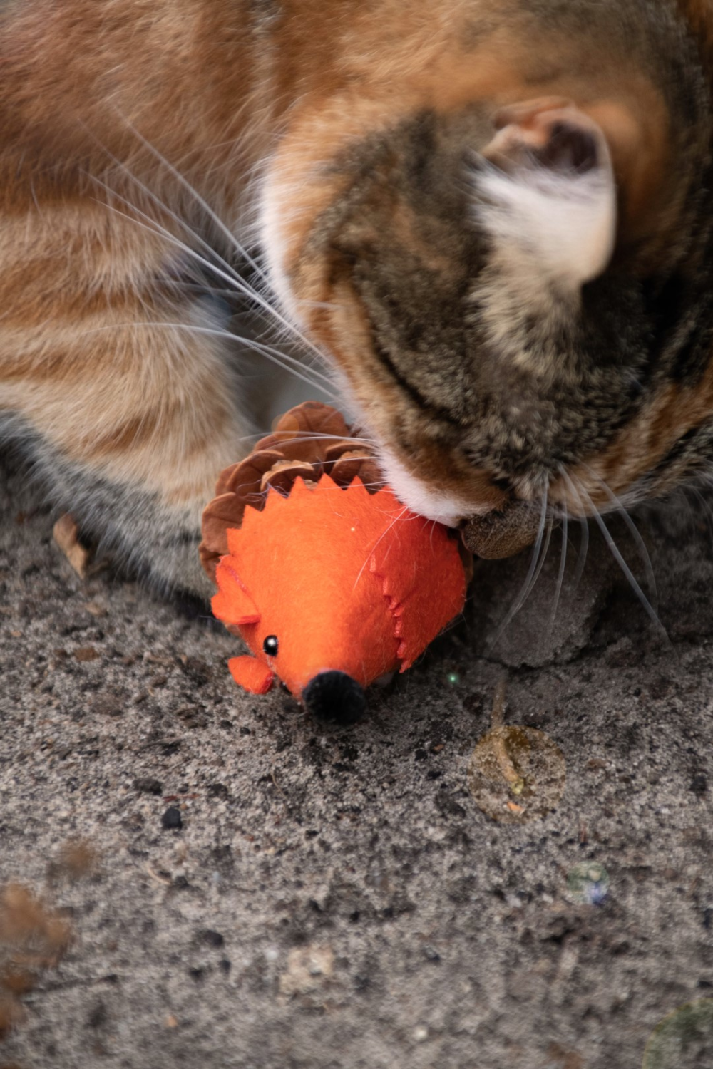 Forest Friends Mouse Orange