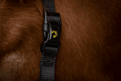 Excellent Horse Superior Halster XS Mini Foal Zwart