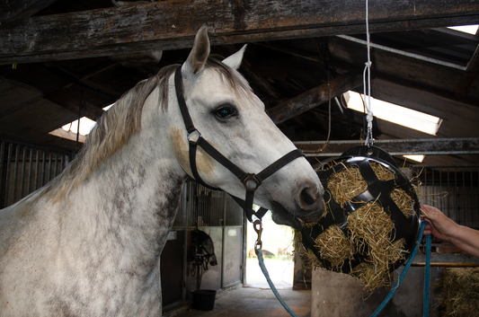 Hooi feeder dop voor HeuBoy