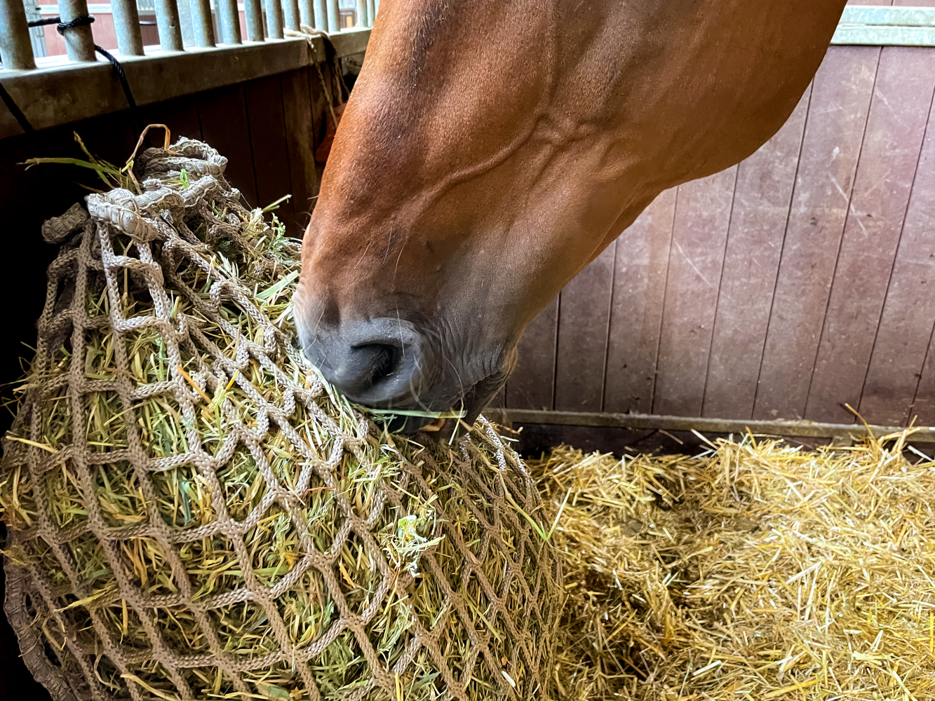 Hay Slowfeeder net 2,5 kg (5 mm dik, maaswijdte 45 mm)