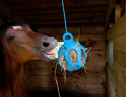 Jolly Hay Ball blauw 20 cm