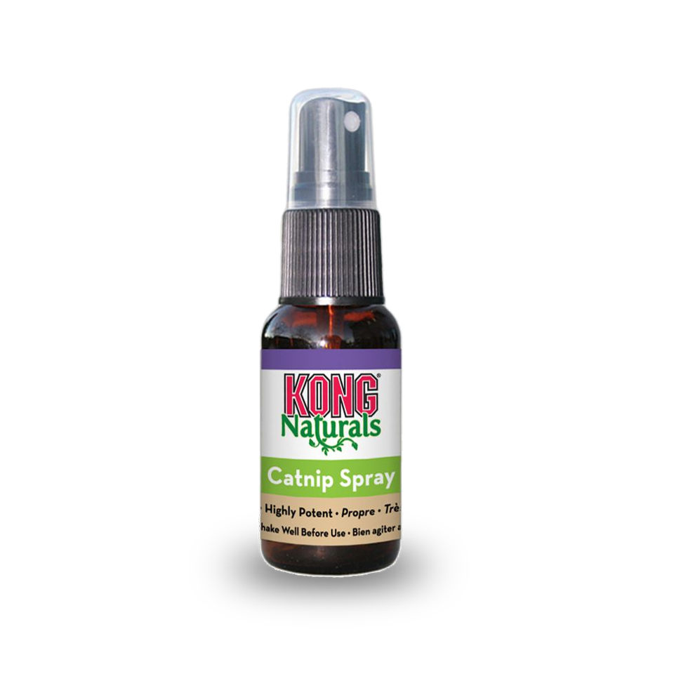 KONG Naturals Catnip Spray