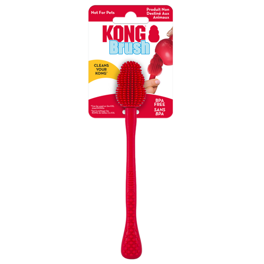 KONG Brush