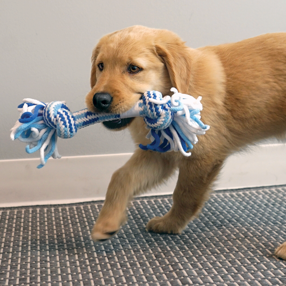 KONG Rope Ball Puppy Assorted Lg