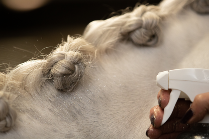 Lucky Horse Unicorn Zilver glitter spray