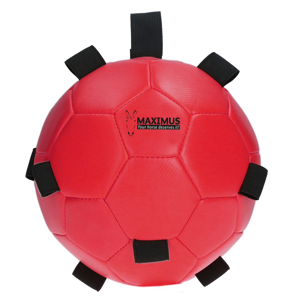 Maximus Fun Play Ball Red