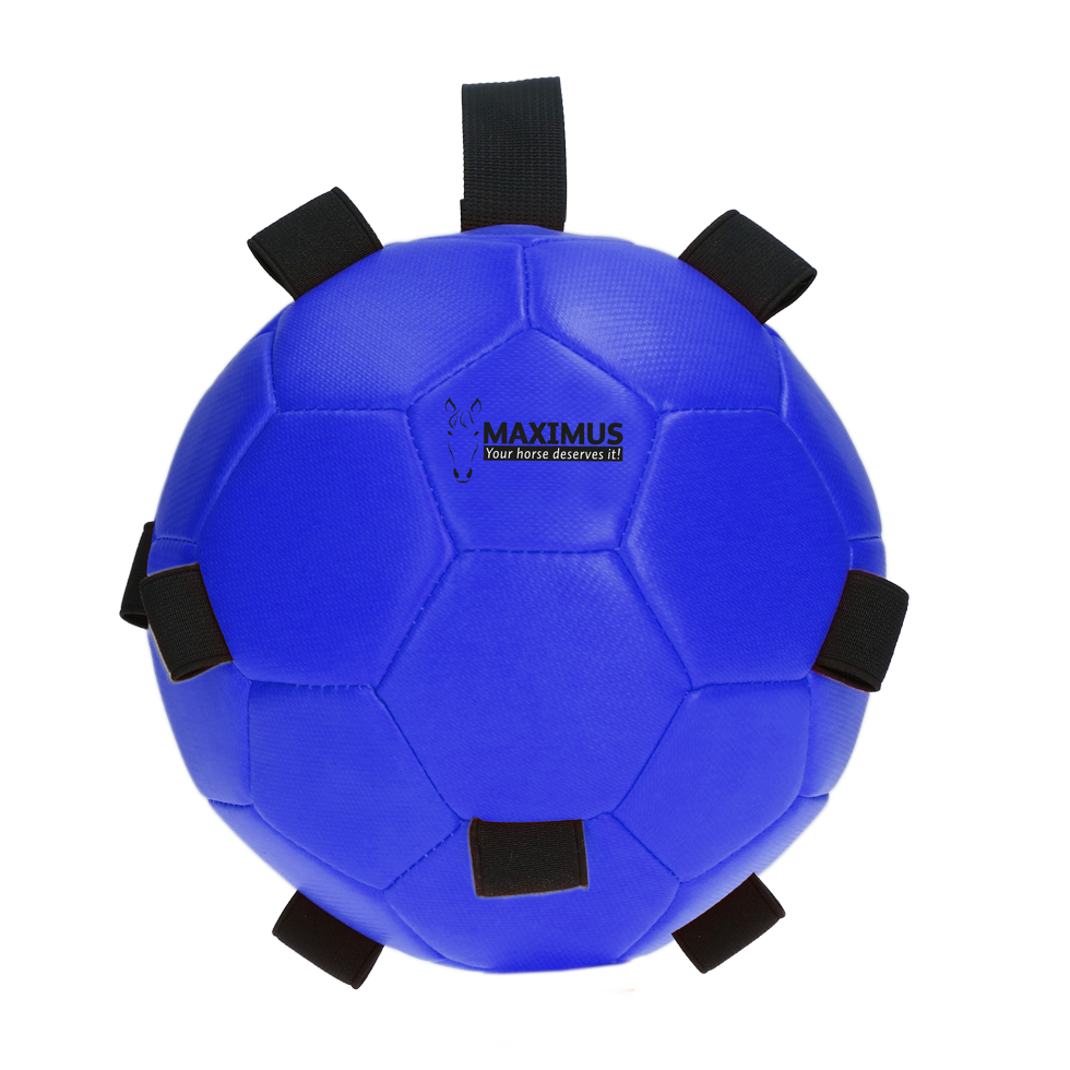 Maximus Fun Play Ball Blue