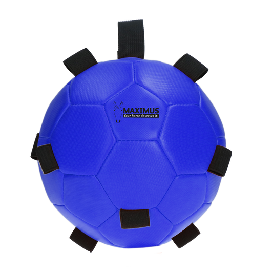 Maximus Fun Play Ball Blue