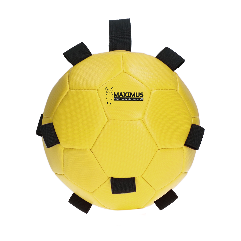 Maximus Fun Play Ball Yellow