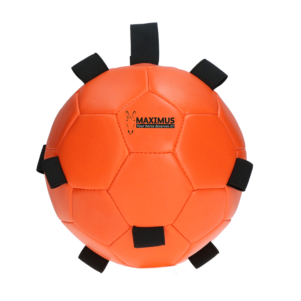 Maximus Fun Play Ball Orange