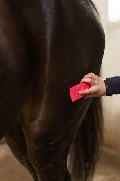 Paardenpraat Grooming Brush Medium roze